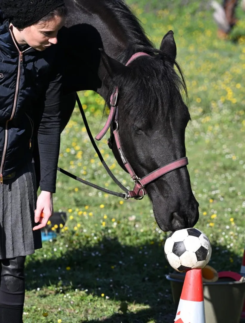 Formation physiothérapie à Urmatt